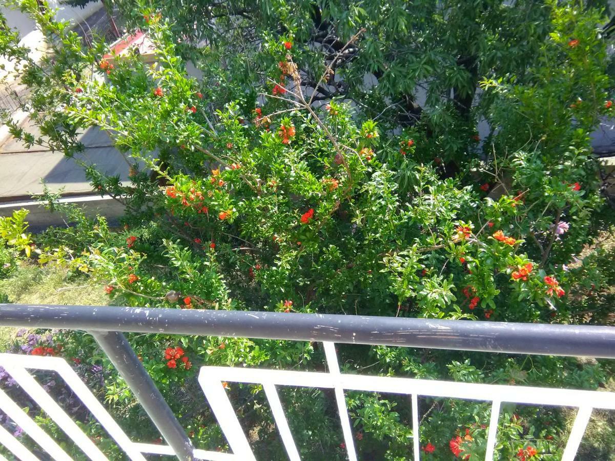 Apartment Bella Marija เซนญ์ ภายนอก รูปภาพ